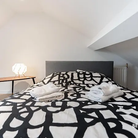 Maison Spacieuse De 6 Chambres Proche Gare Midi-3
