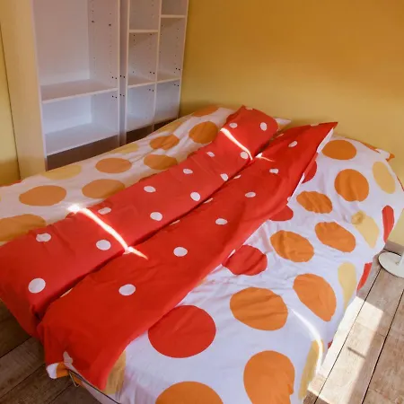 Jolie Maison Dans Ecrin De Verdure A Bruxelles-2